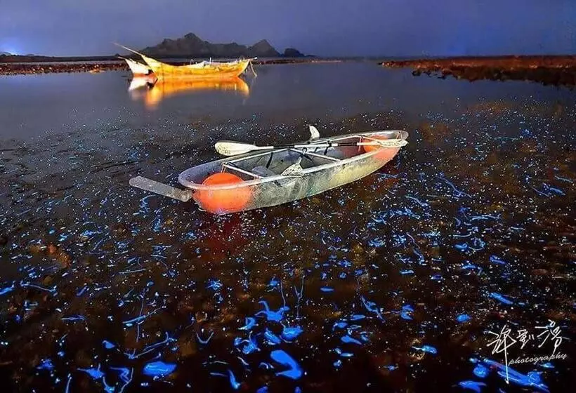 هاستل God’s Queen Esther