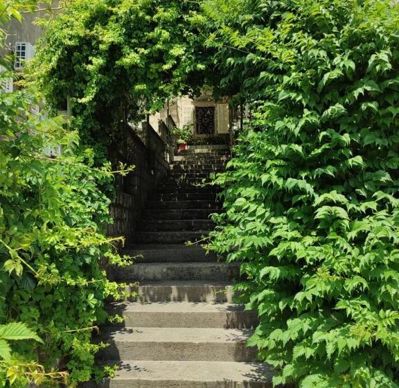 پانسیون Guesthouse žmukić