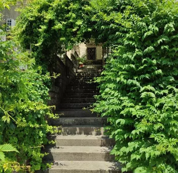 پانسیون Guesthouse žmukić