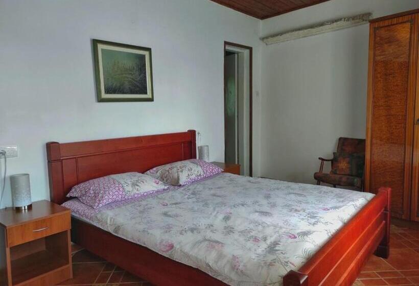 پانسیون Guesthouse žmukić