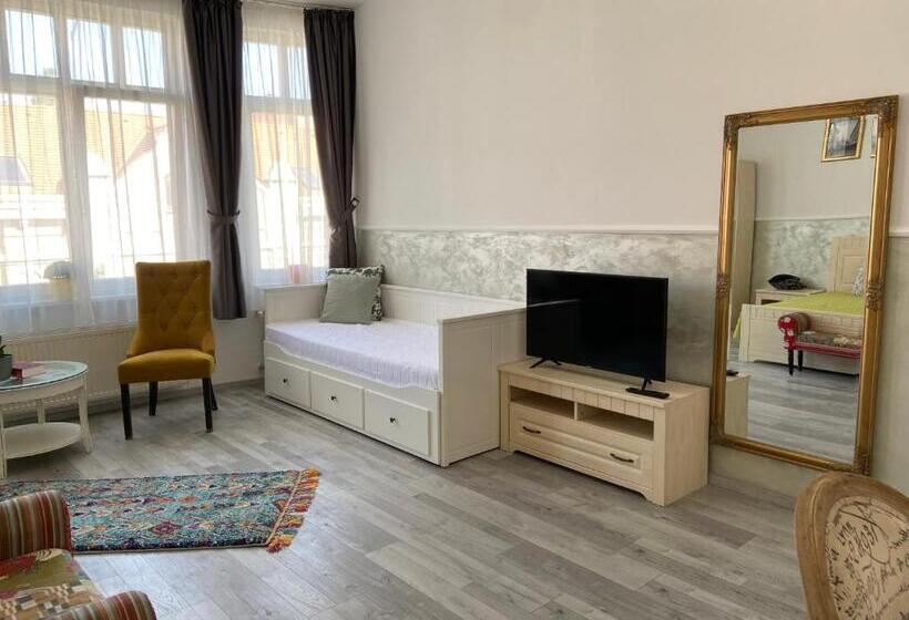 بنسيون Penzión Bihari