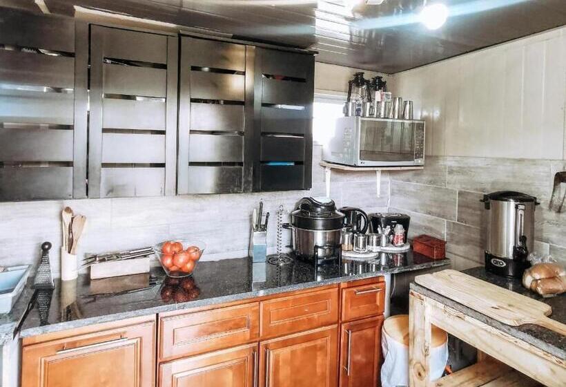 Pension Bosveld In Die Stad