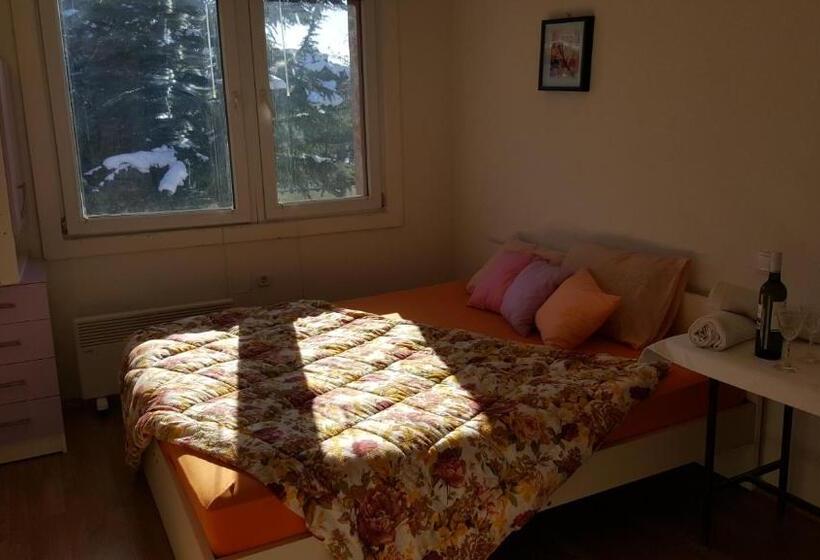 پانسیون Vila Dule