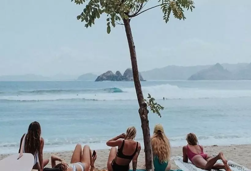 Lmbk Surf Camp   Hostel