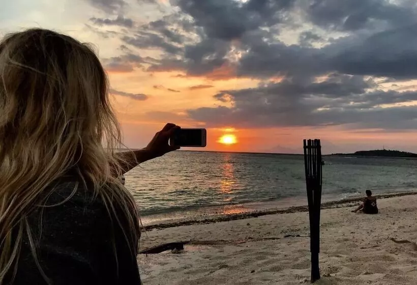 Lmbk Surf Camp   Hostel