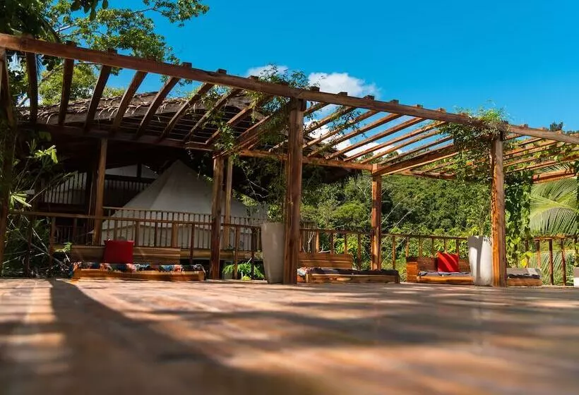 Beso Hilltop Retreat   Hostel