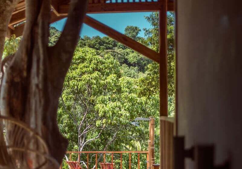 Beso Hilltop Retreat   Hostel