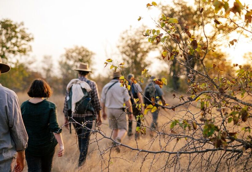 فندق Simbavati Trails Camp