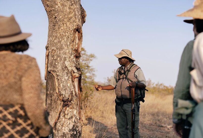 فندق Simbavati Trails Camp