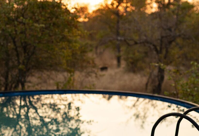 فندق Simbavati Trails Camp