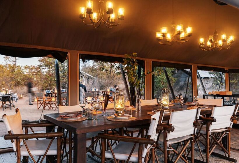 فندق Simbavati Trails Camp