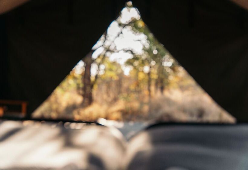 فندق Simbavati Trails Camp