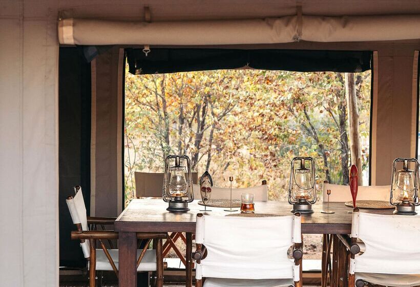 فندق Simbavati Trails Camp