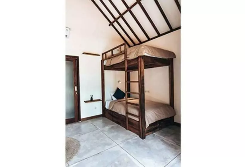 Lmbk Surf Camp   Hostel