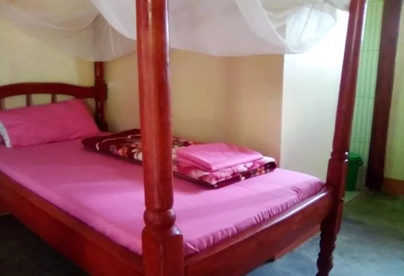 Portland Cottages Amor   Hostel