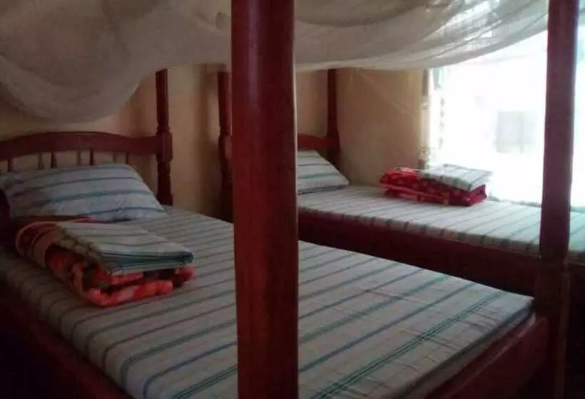 Portland Cottages Amor   Hostel