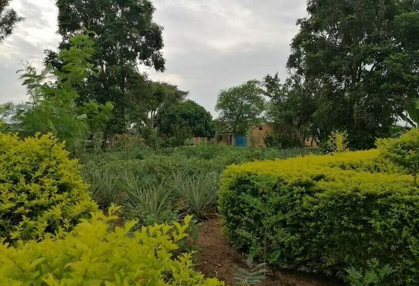 Portland Cottages Amor Hostel