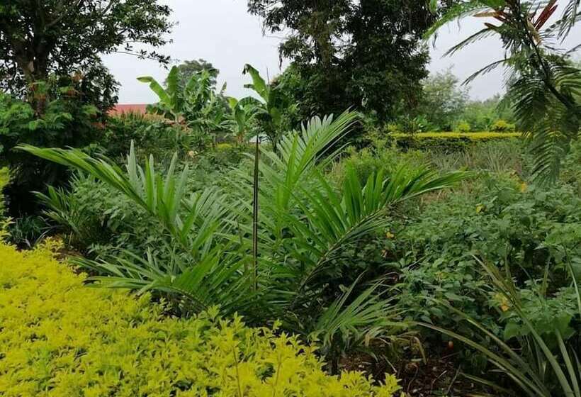 Portland Cottages Amor Hostel