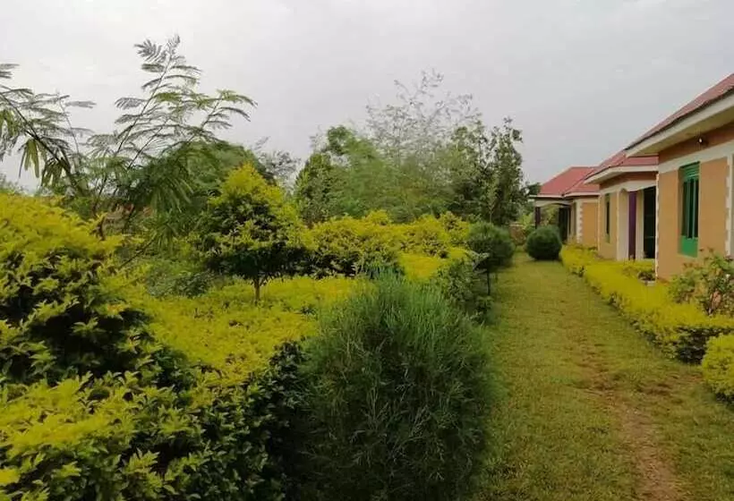 Portland Cottages Amor   Hostel