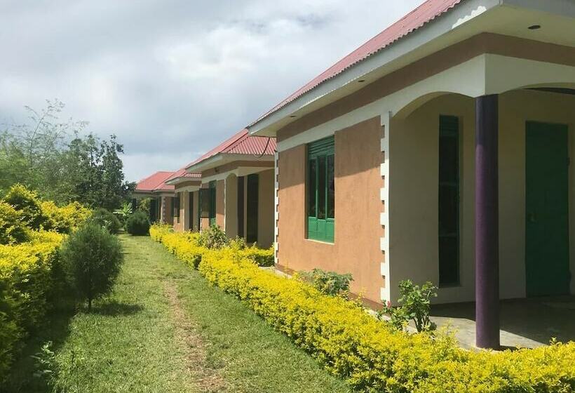 Portland Cottages Amor Hostel