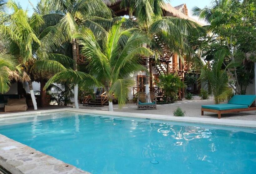 فندق Casa Blanca