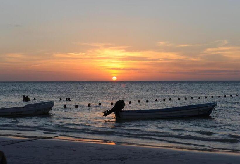 فندق Casa Blanca