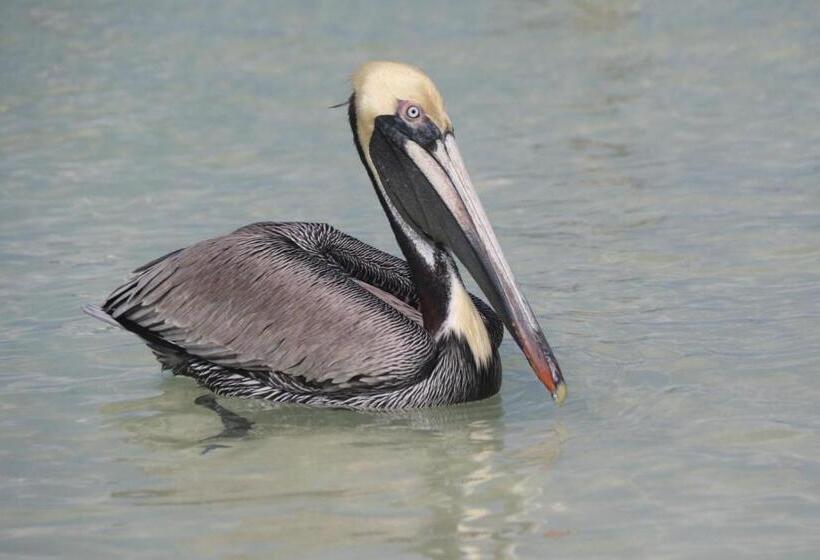 فندق Casa Blanca