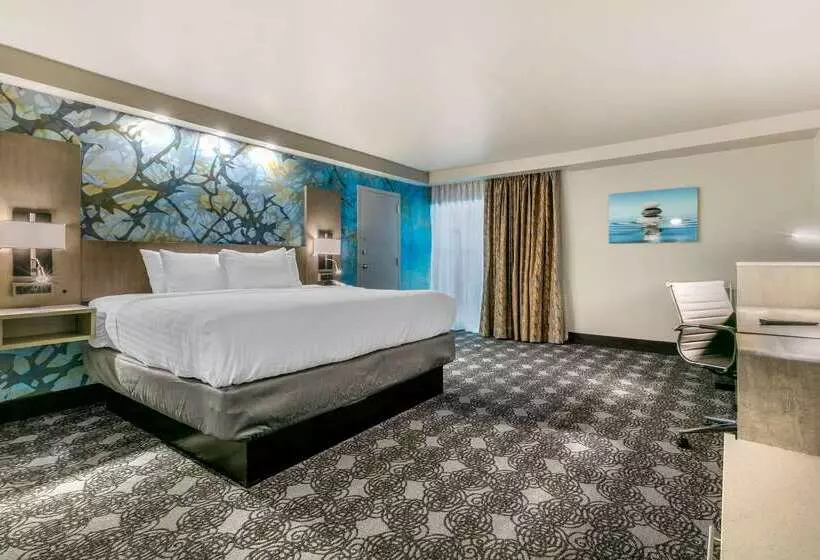 ホテル Clarion Inn