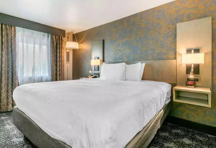ホテル Clarion Inn