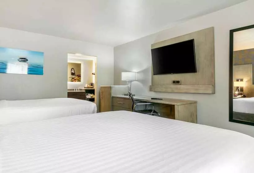 ホテル Clarion Inn