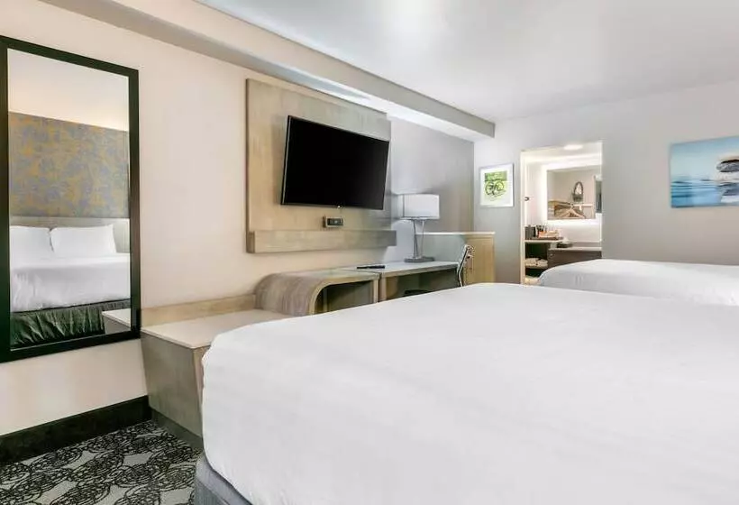 ホテル Clarion Inn