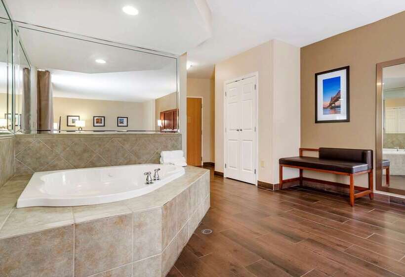 酒店 Comfort Suites Airport