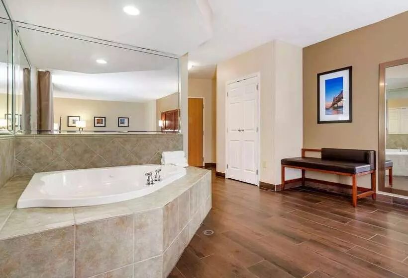 호텔 Comfort Suites Airport