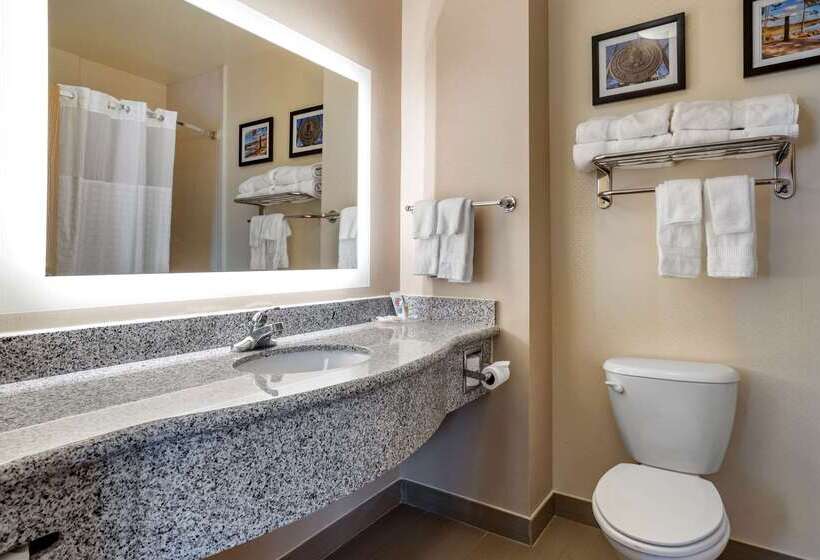 酒店 Comfort Suites Airport