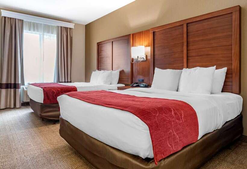 酒店 Comfort Suites Airport