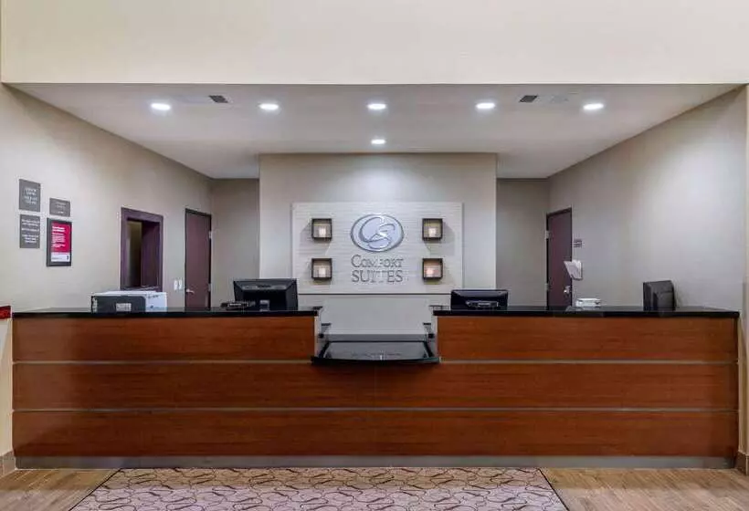 ホテル Comfort Suites