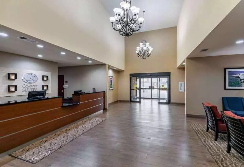 ホテル Comfort Suites