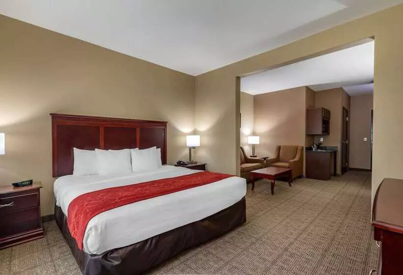 ホテル Comfort Suites