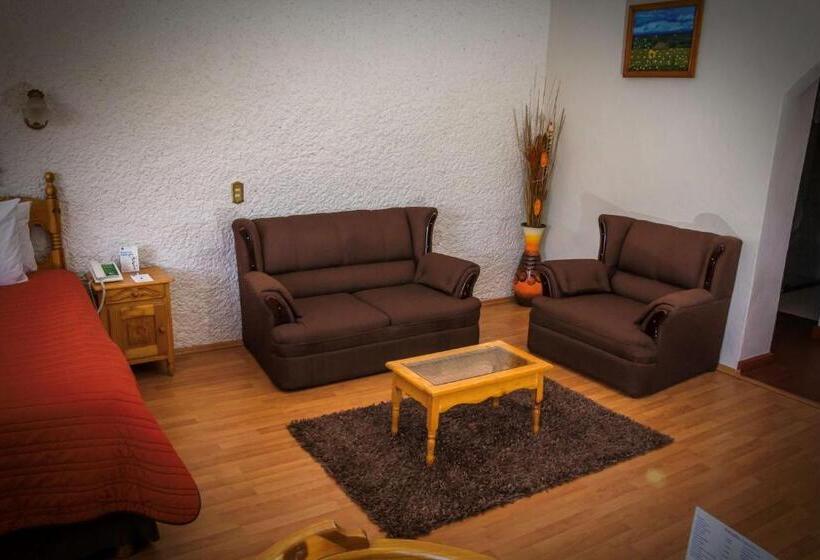 ホテル Del Angel, Apizaco