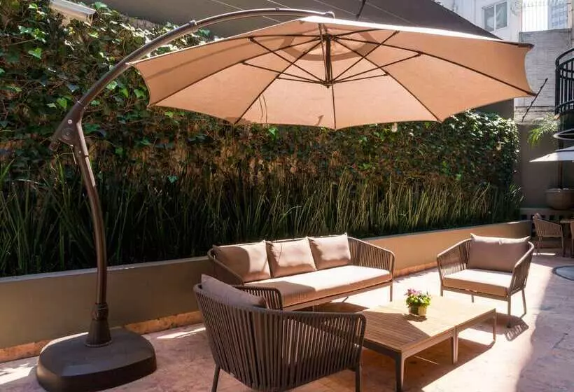 ホテル Dominion Polanco