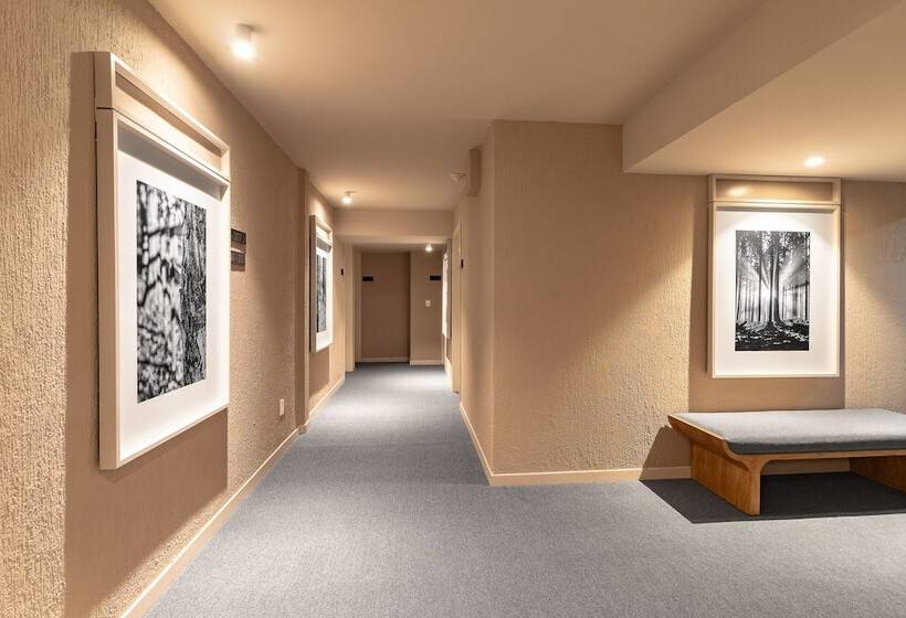 בית מלון כפרי Oliva Plaza