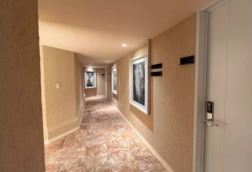 Отель Oliva Plaza