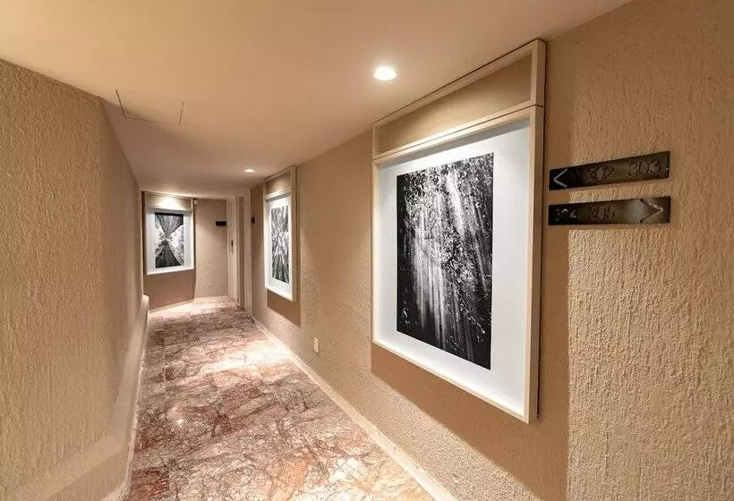 Отель Oliva Plaza