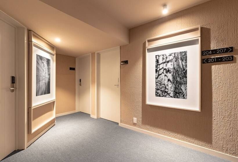 בית מלון כפרי Oliva Plaza