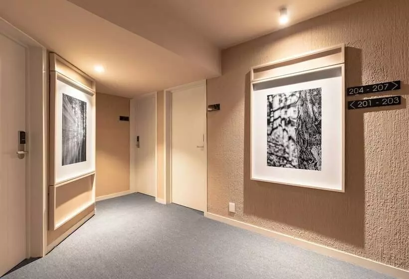 Отель Oliva Plaza