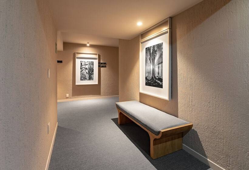 בית מלון כפרי Oliva Plaza