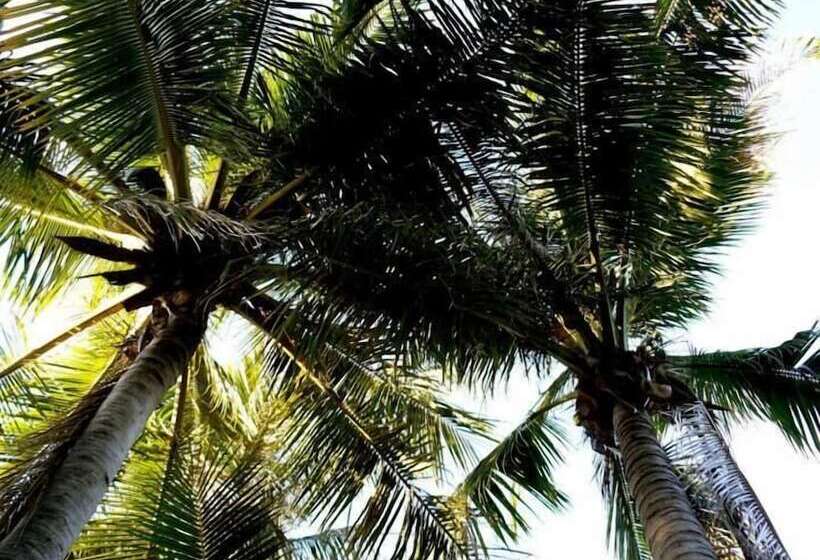 호텔 Pinctada Mcalpine House