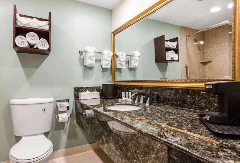 Отель Comfort Inn & Suites Irvine Spectrum