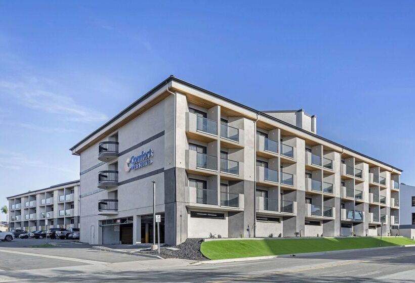 Отель Comfort Inn & Suites Irvine Spectrum