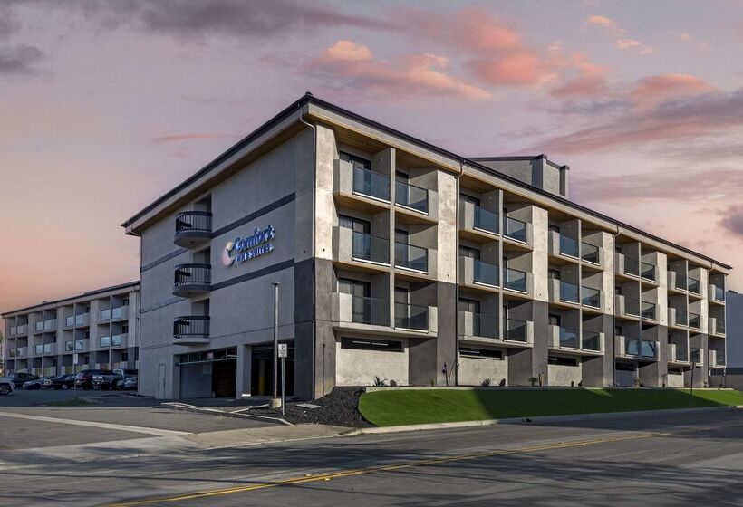 Отель Comfort Inn & Suites Irvine Spectrum